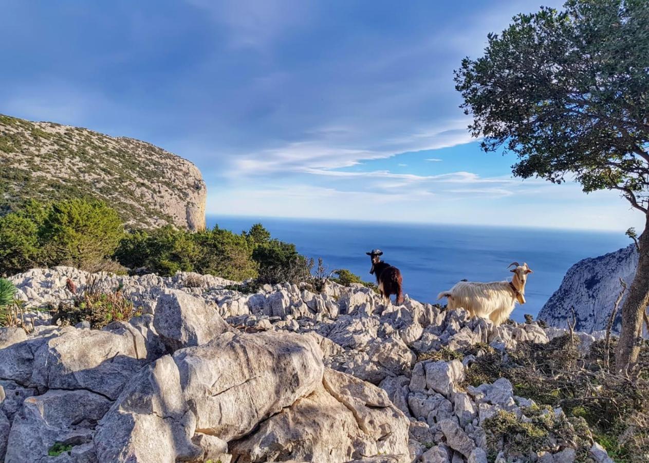 Appartamento Tra Mare E Montagna Baunei Kültér fotó
